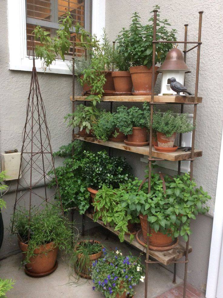 Balcony Herb Garden Ideas You Would Like To Try