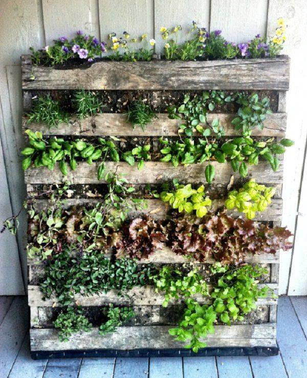 An Urban Herb Garden