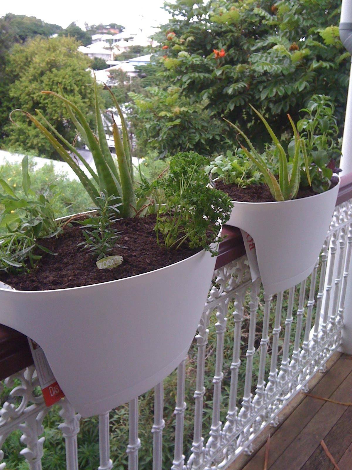Balcony Herb Garden Ideas