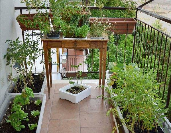 A Herb Garden