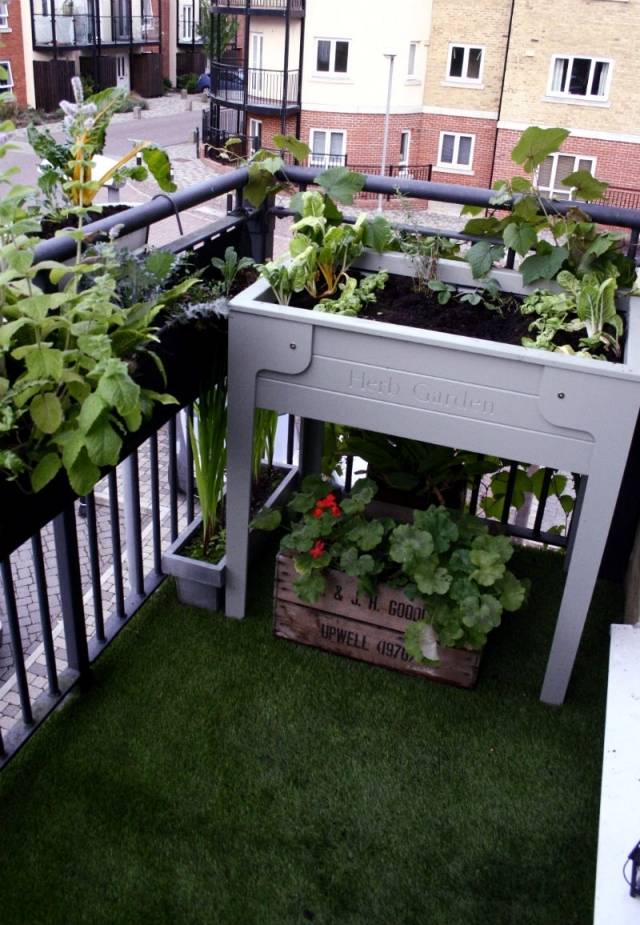 Balcony Herb Gardens