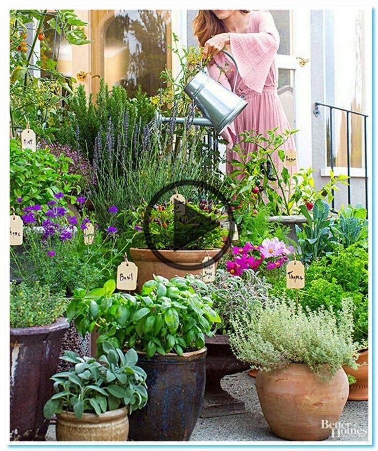 The Top Herb Garden Ideas Landscaping And Gardening Ideas