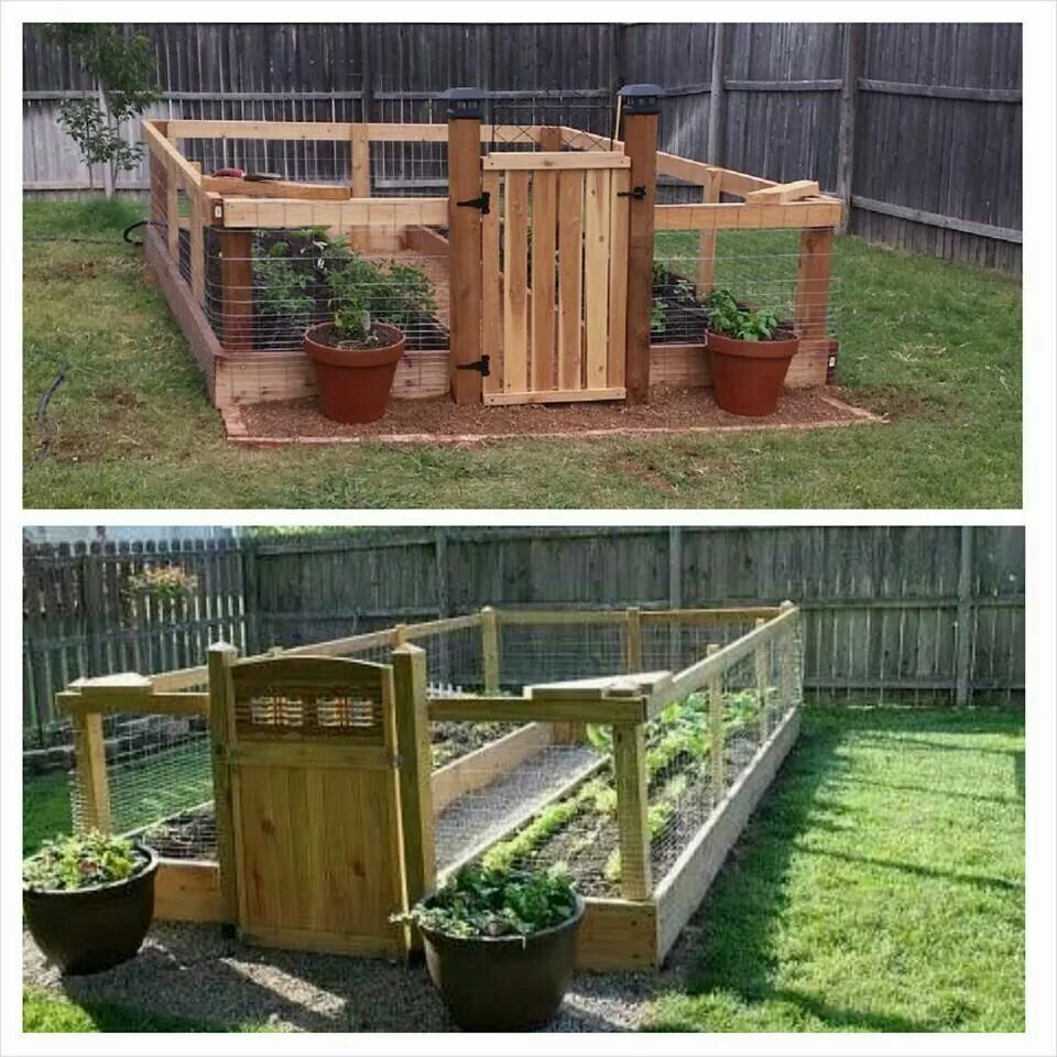 Enclosed Vegetable Garden