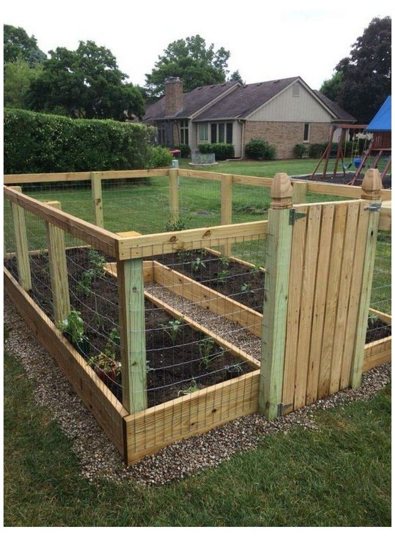 Outdoors Vegetable Garden