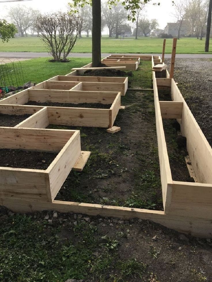 Outdoors Vegetable Garden