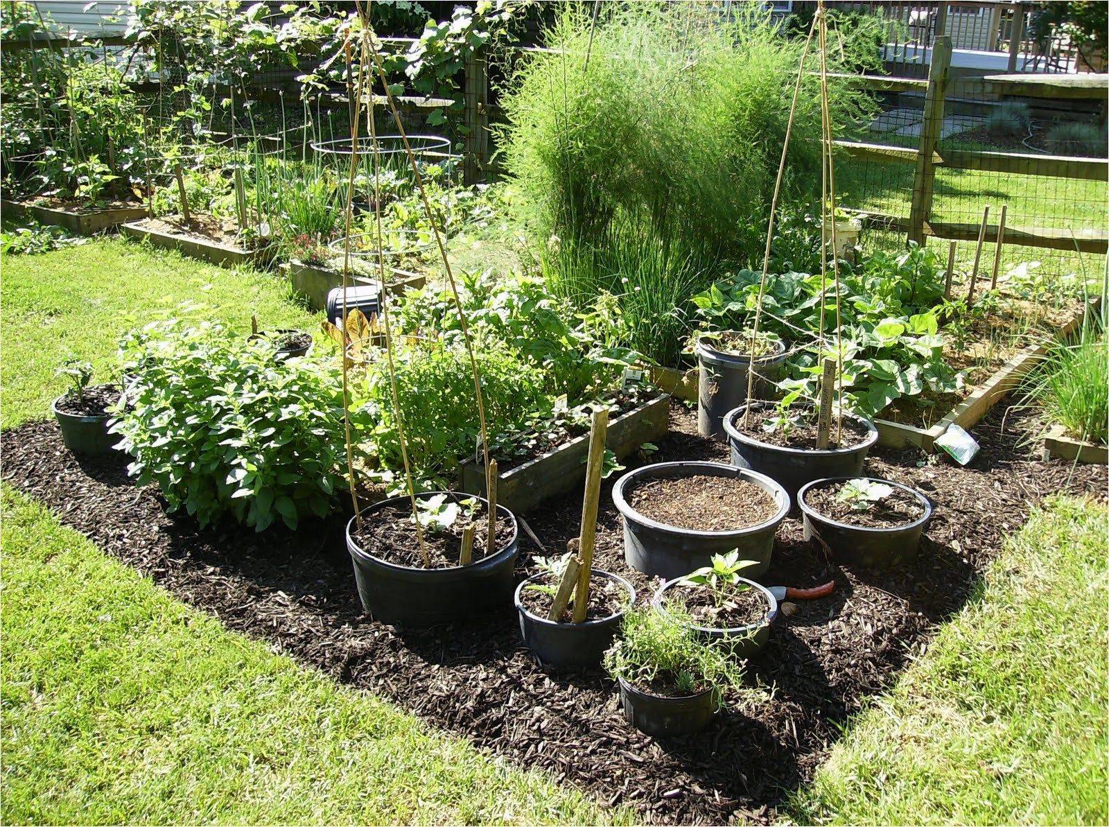 Container Vegetable Garden Ideas
