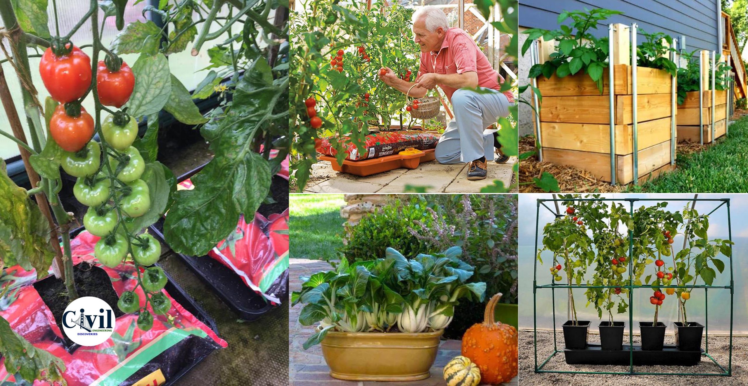 Backyard Container Vegetable Garden Ideas Garden Design