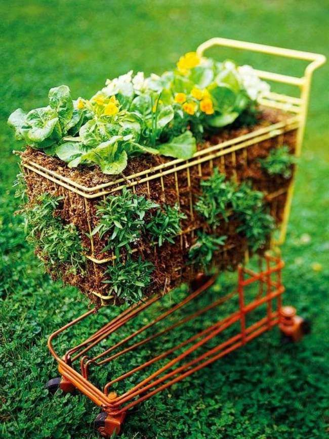 A Container Vegetable Garden