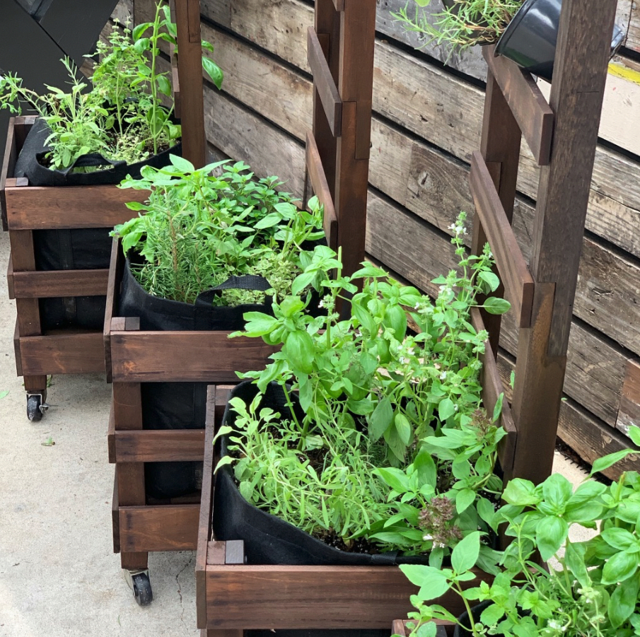 The Rusted Vegetable Garden