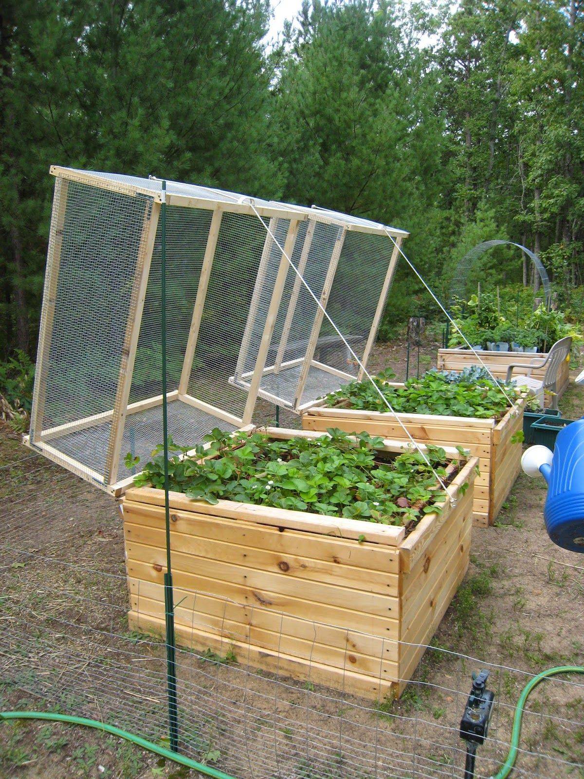 A Removable Raised Garden Bed Fence