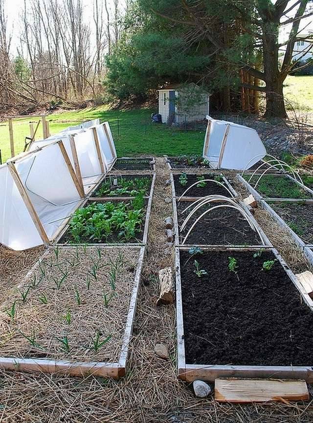 A Raised Garden Bed Cover