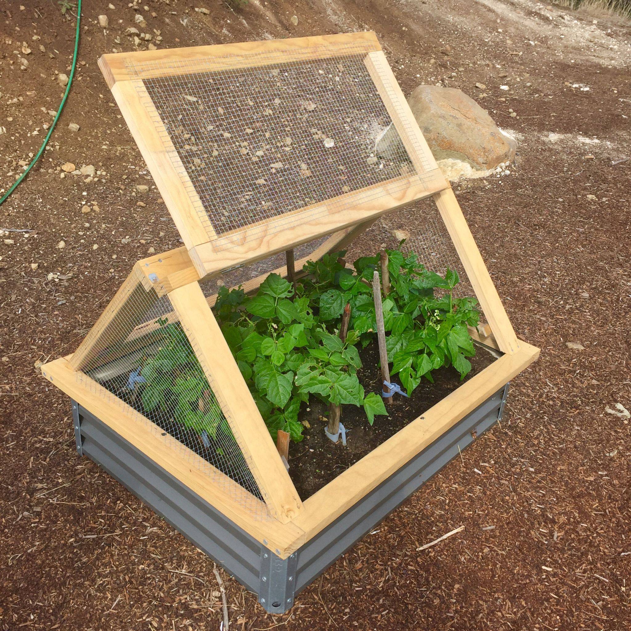 Garden Raised Garden Beds