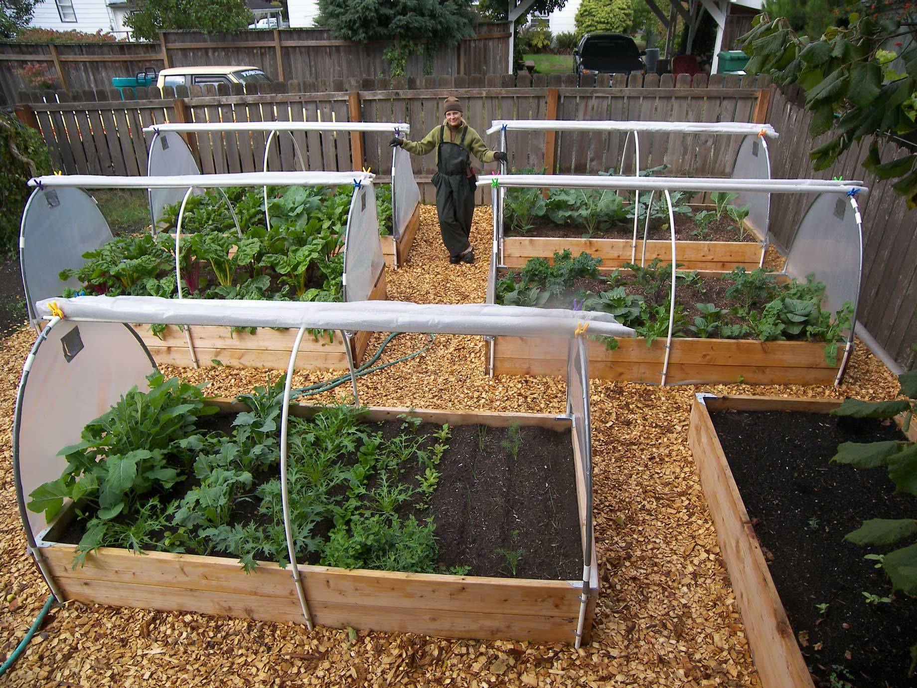 A Veggie Garden Raised Beds
