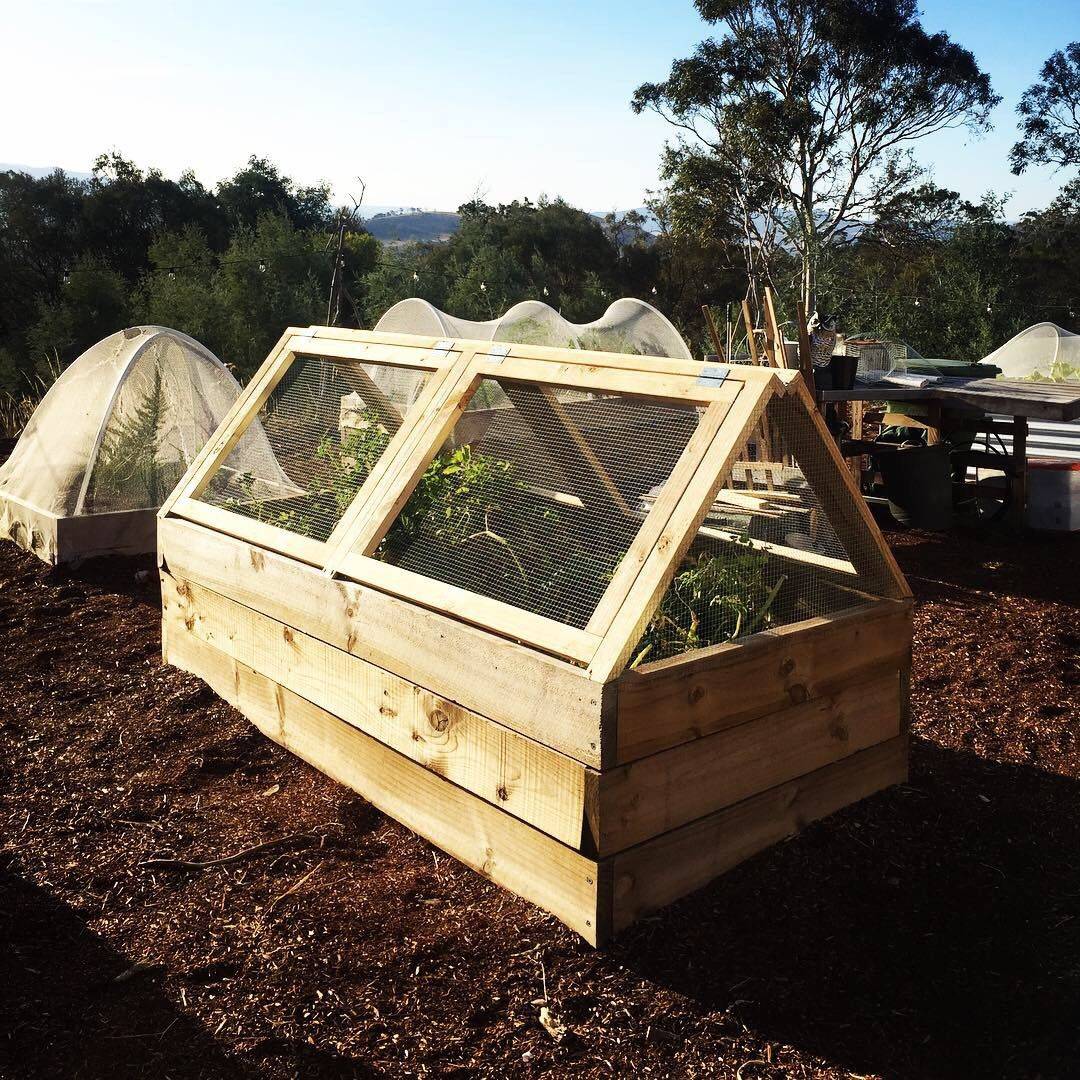 Raised Garden Bed