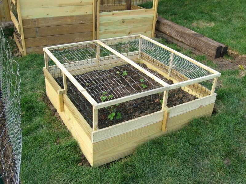 Raised Garden Bed Cover Building