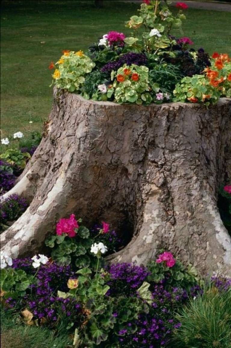 Whimsical Fun Garden