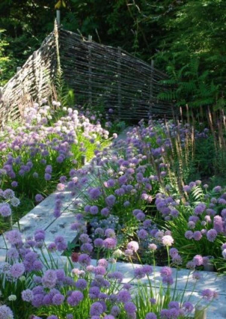Cute And Whimsical Fairy Garden Ideas