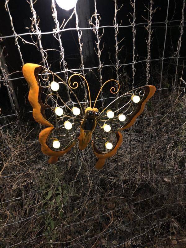 Innovative Outdoor Lighting Ideas