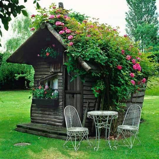 This Garden Shed