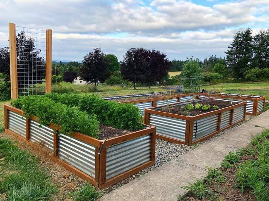 Backyard Raised Bed Garden Ideas Garden Design