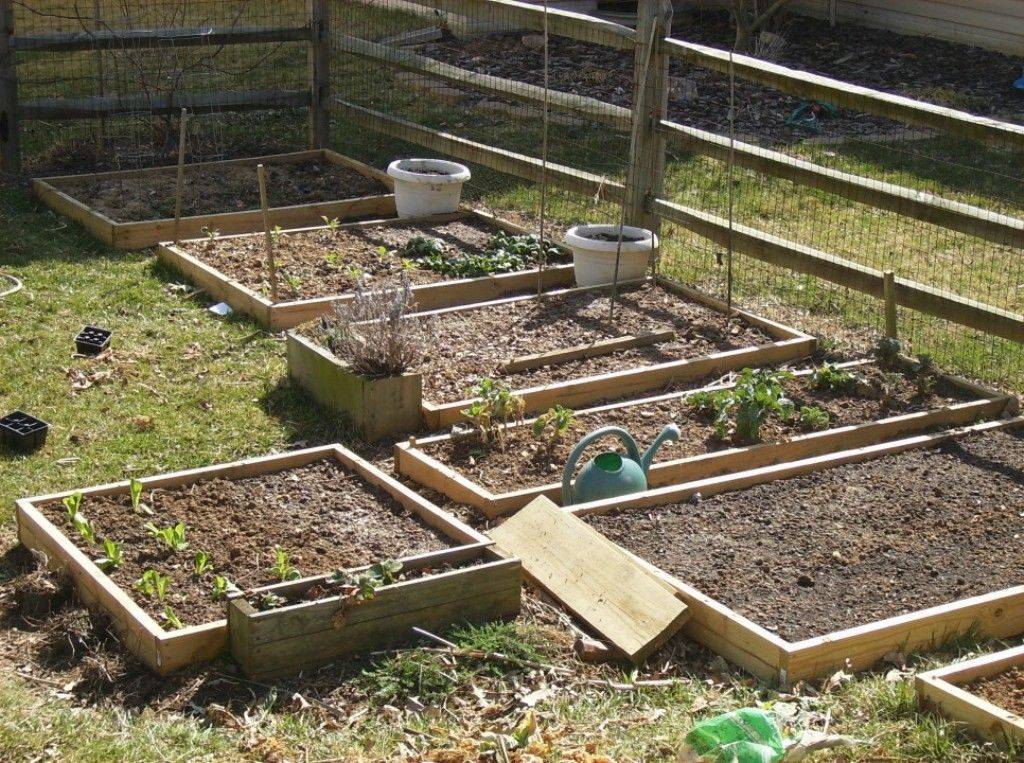 Fascinating Diy Small Aquaponics Design Httpswwwonechitecture