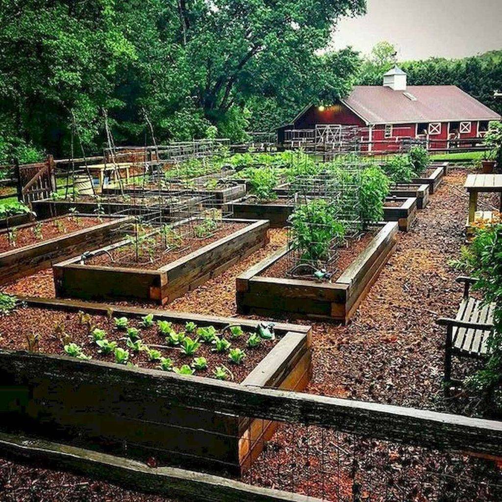 A Beautiful Garden Landscape