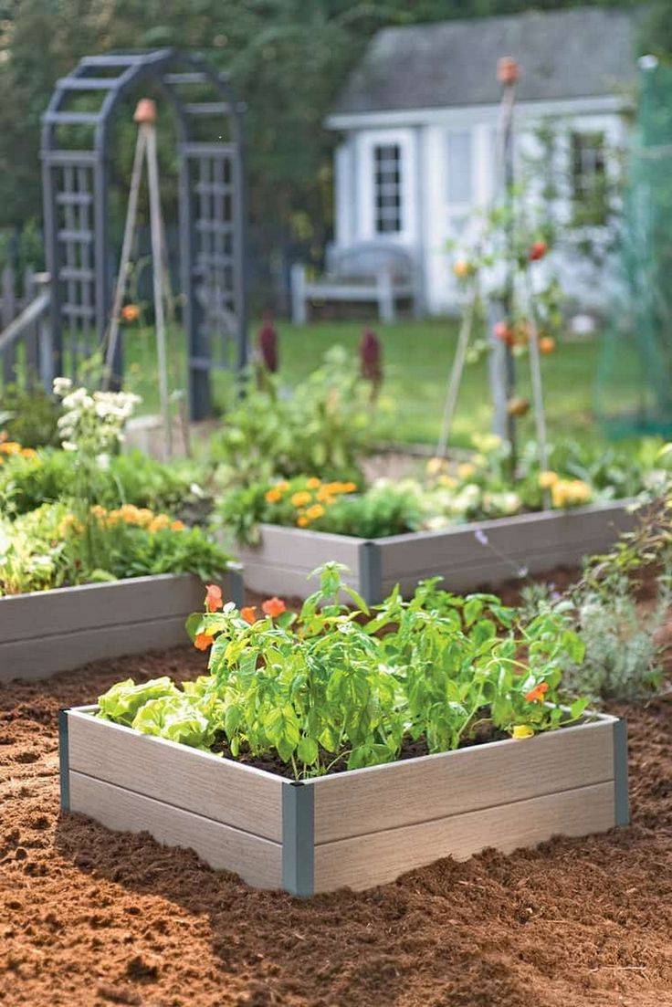 Raised Vegetable Garden Layout