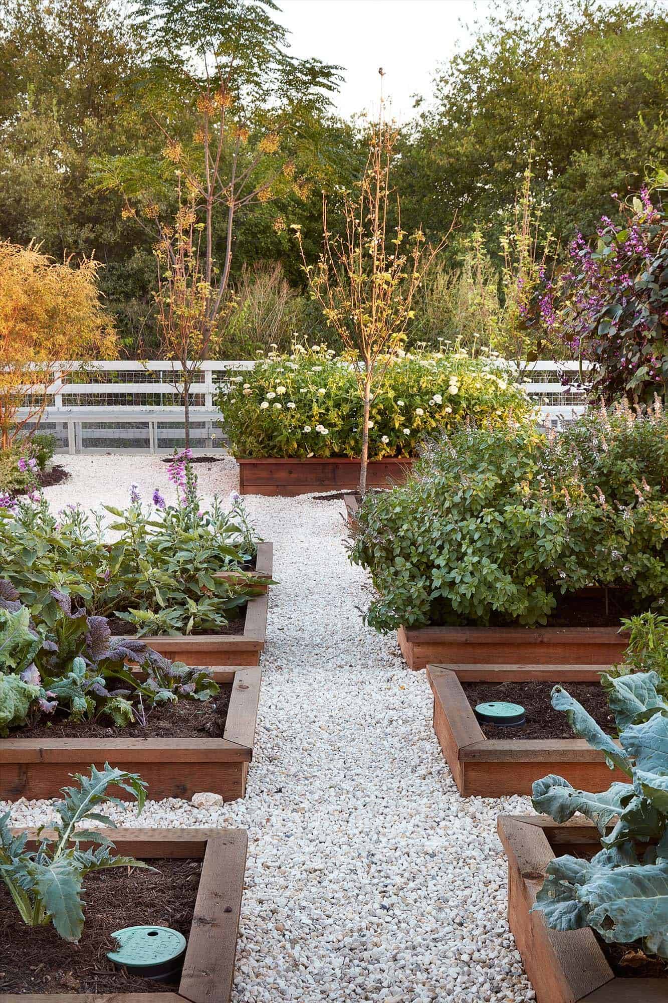 Best Vegetable Garden Designs