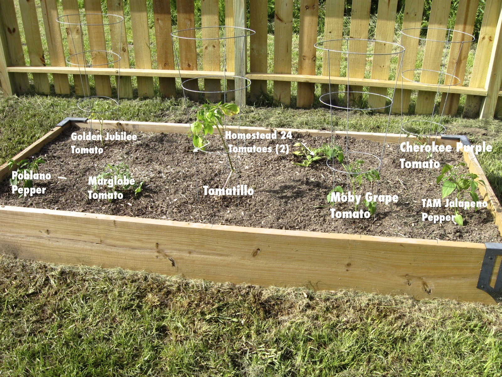 X Raised Bed Vegetable Garden Layout