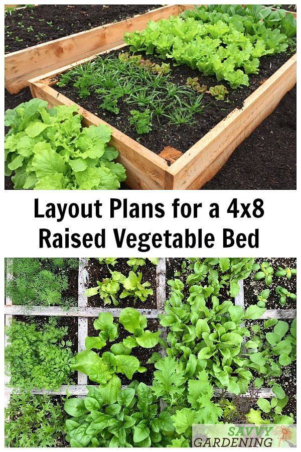 Bed Vegetable Garden Layout