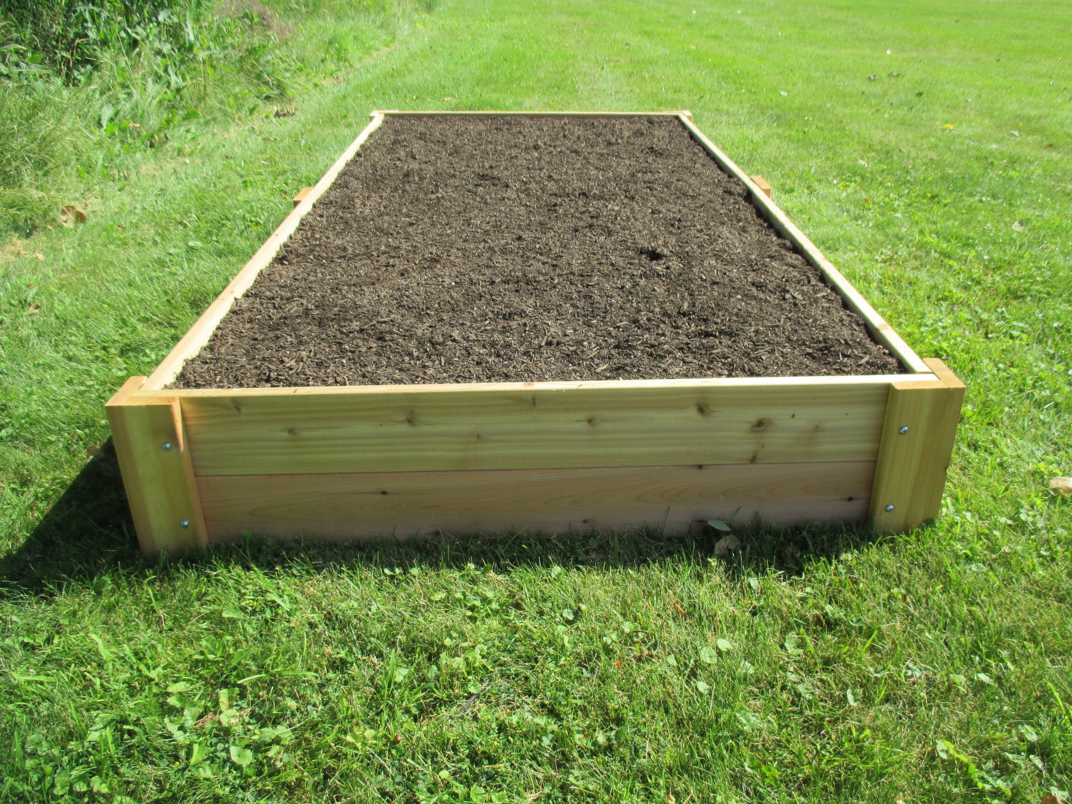 X Raised Bed Vegetable Garden Layout Garden Layout