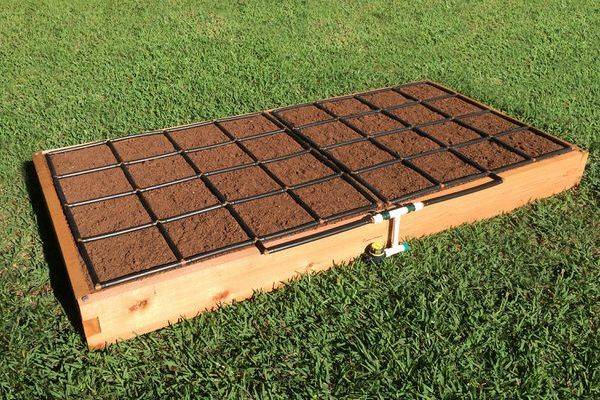 X Raised Bed Vegetable Garden Layout Ideas