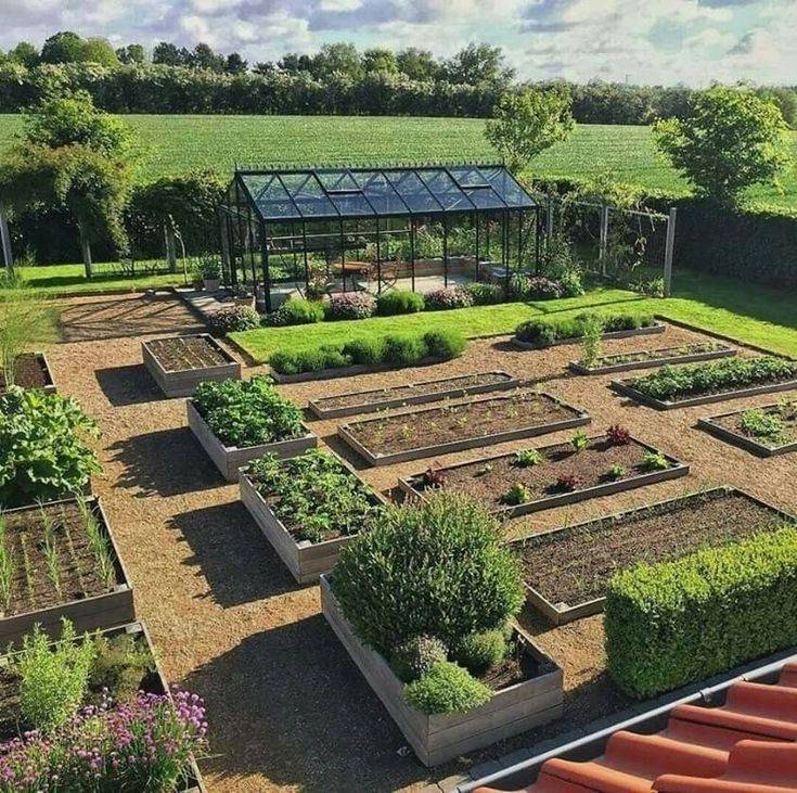 X Raised Garden Bed