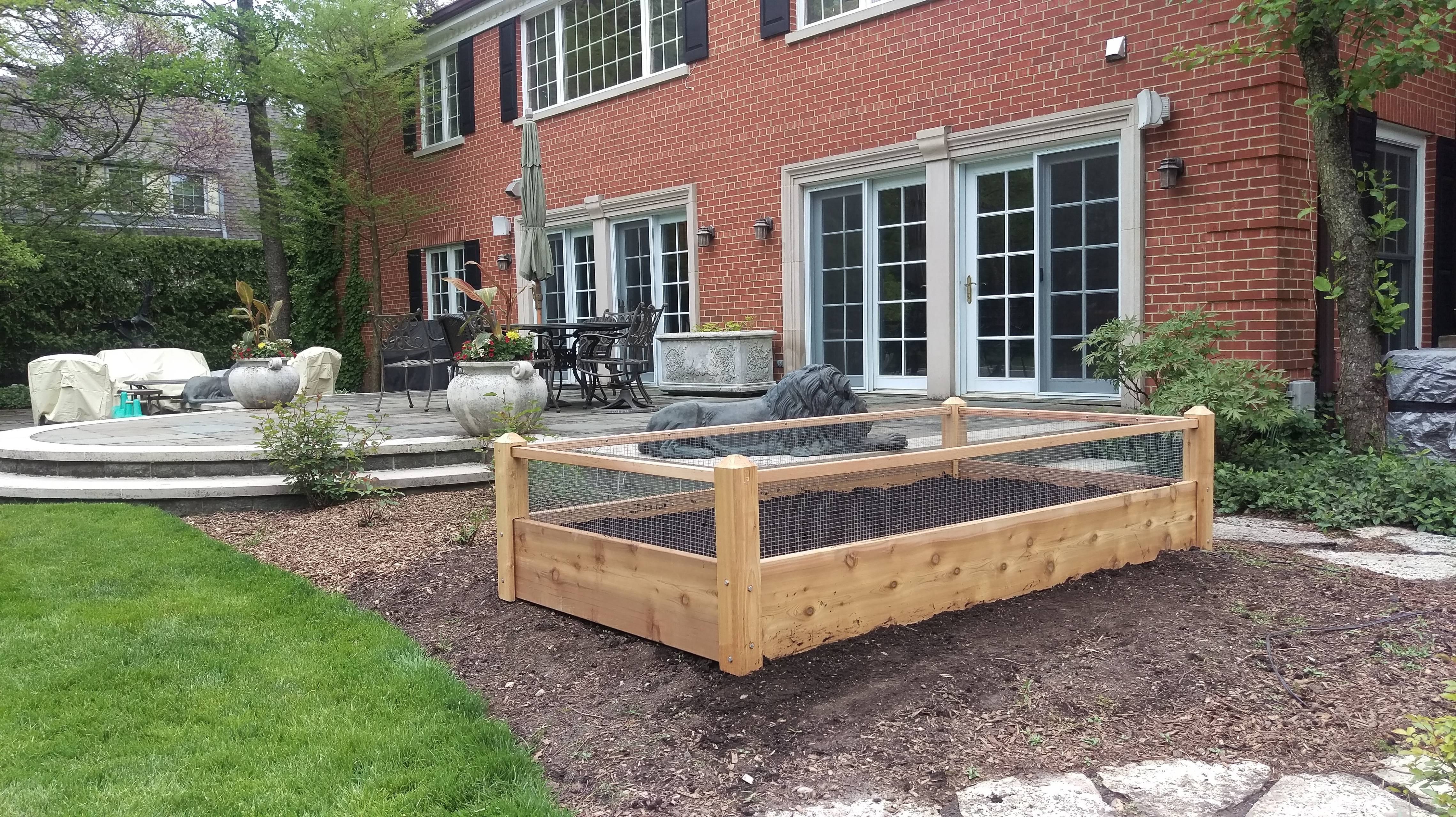 Basic X Raised Bed Vegetable Garden Layout Gardenpicdesign
