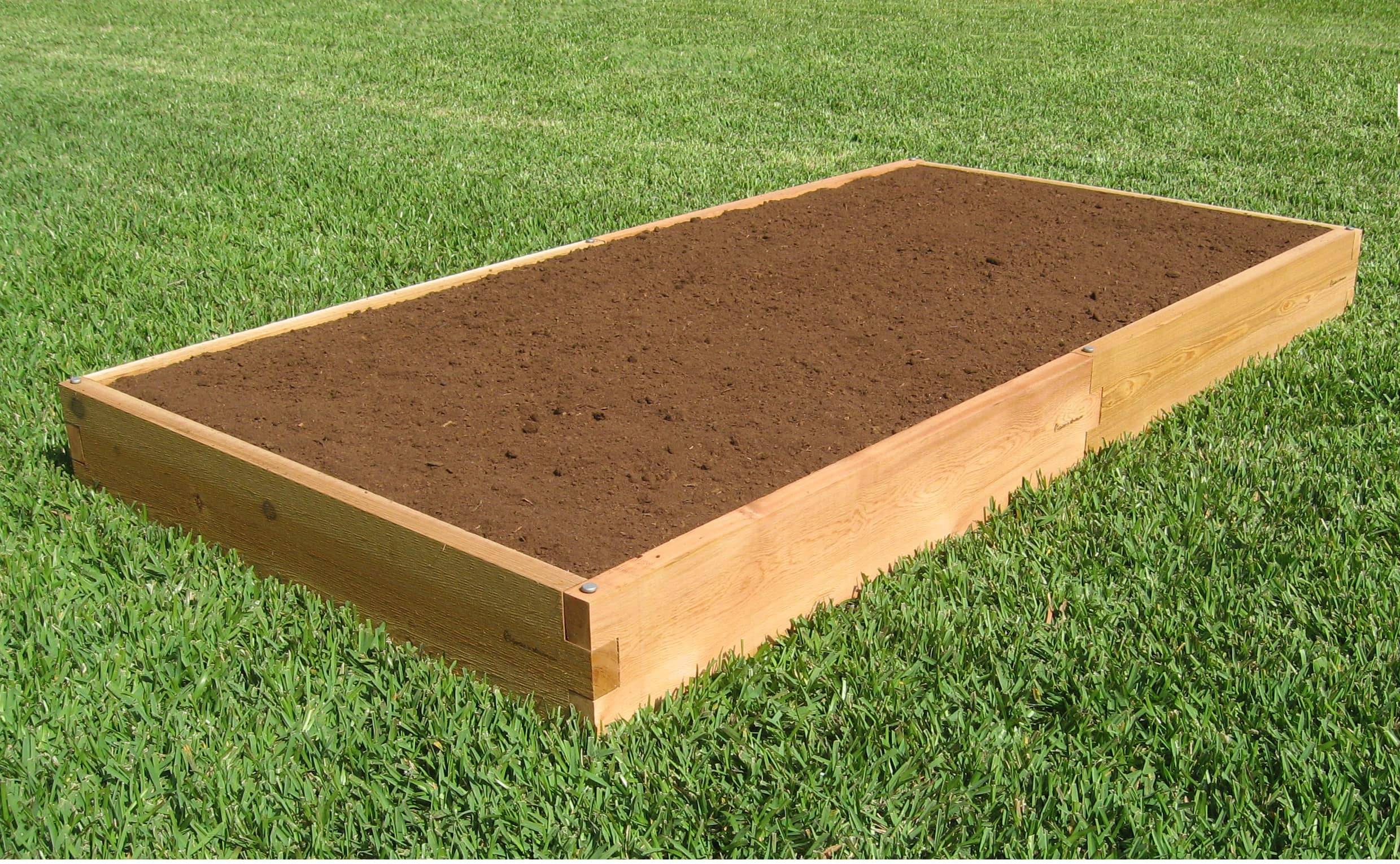 Raised Garden Bed Layout