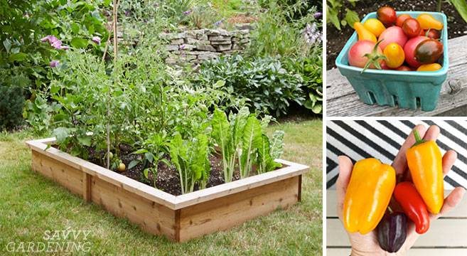 Raised Garden Beds