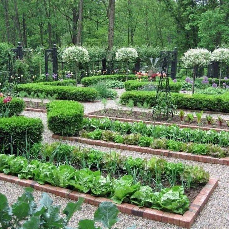 Inspiring Vegetable Garden Design Ideas