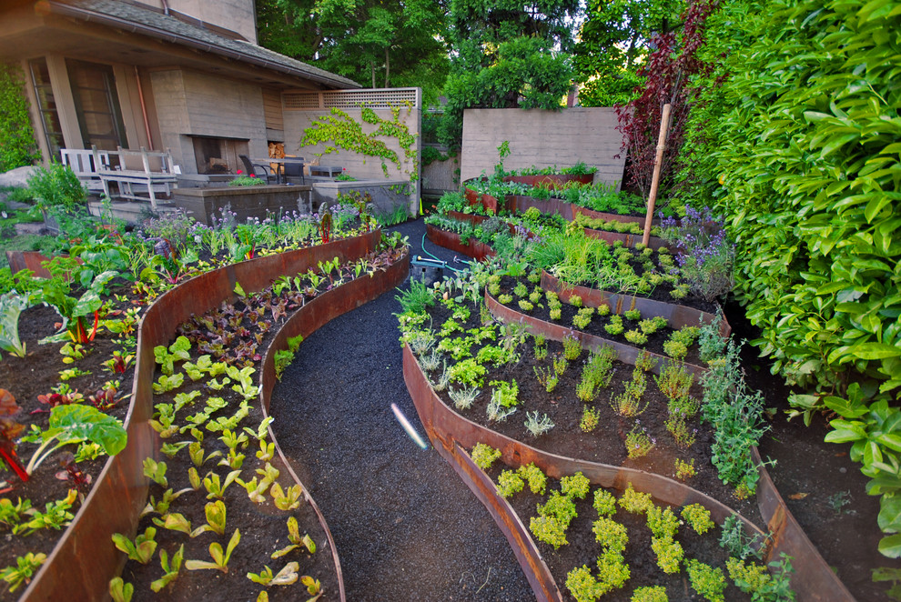 Your Vegetable Garden Tips