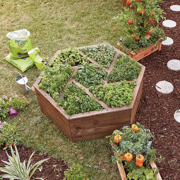 A Box Vegetable Garden Garden Layout Vegetable