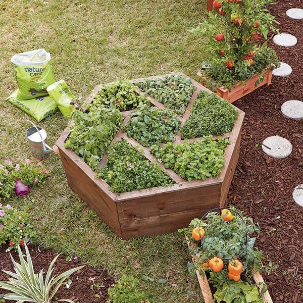 20 Garden Box Layout Ideas You Should Look SharonSable
