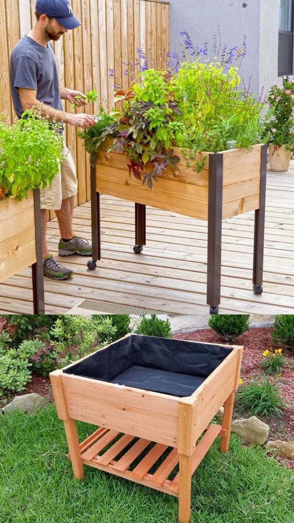 Vegetable Garden Box Ideas Hawk Haven