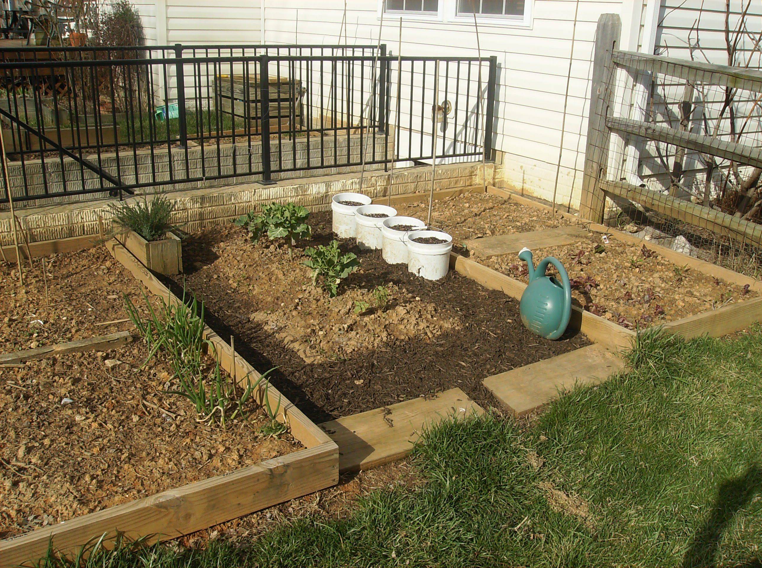 Unique Raised Garden Bed Ideas Vegetables