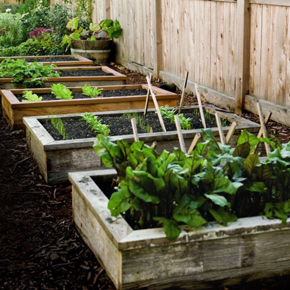 Unique Raised Garden Bed Ideas
