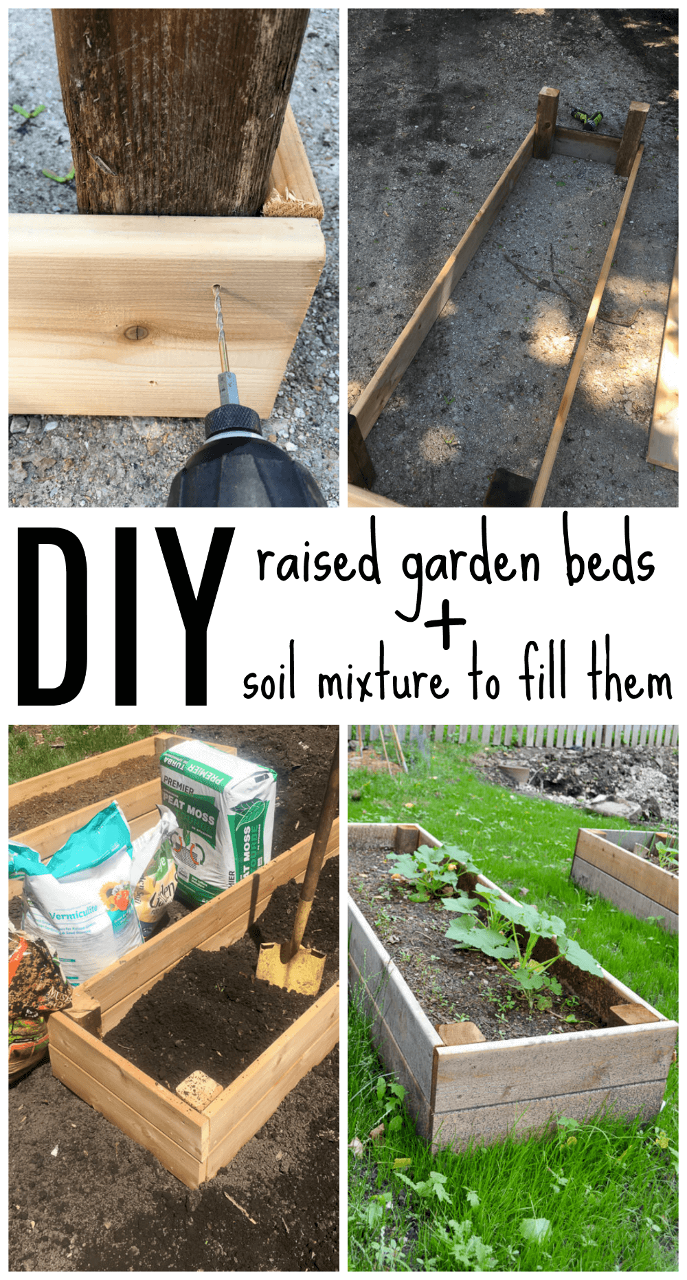 Raised Garden Beds