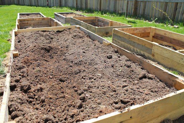 Raised Garden Beds Garden Design Ideas