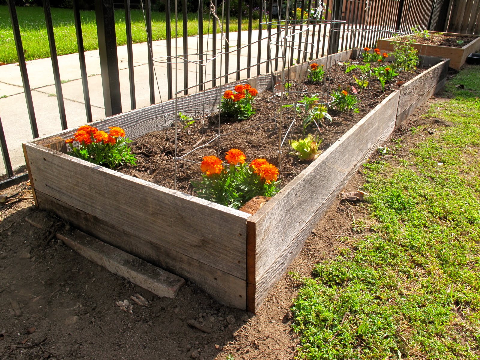 Building Flower Beds Homezone Renovation