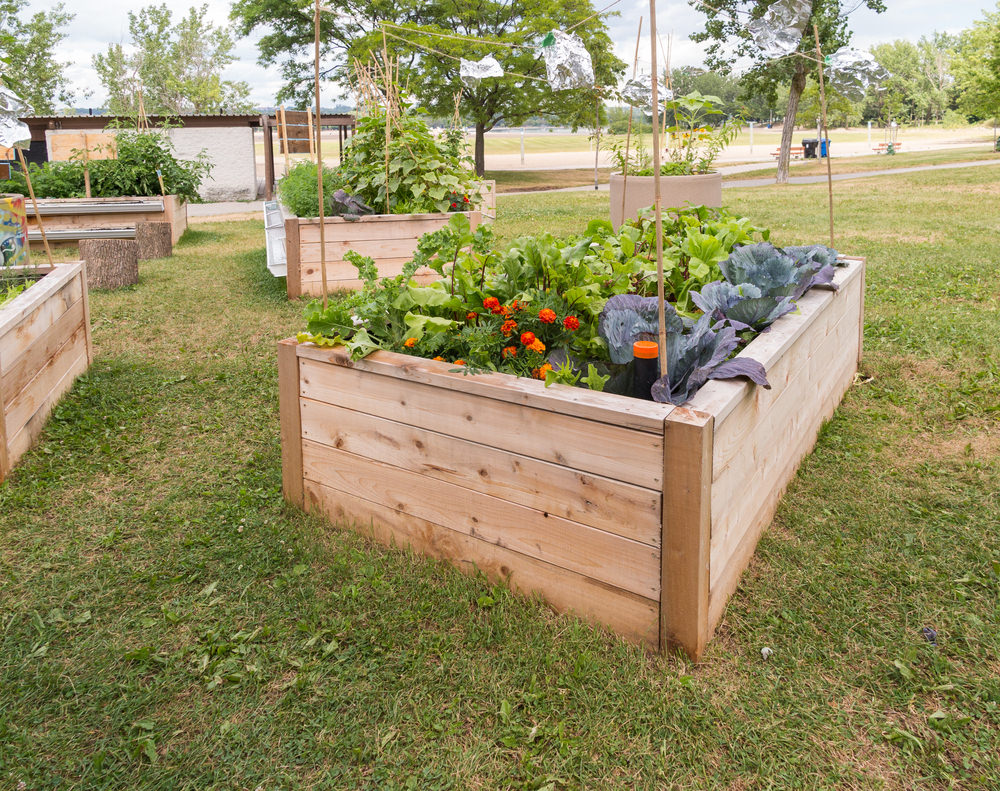 Cedar Raised Bed Garden Kits