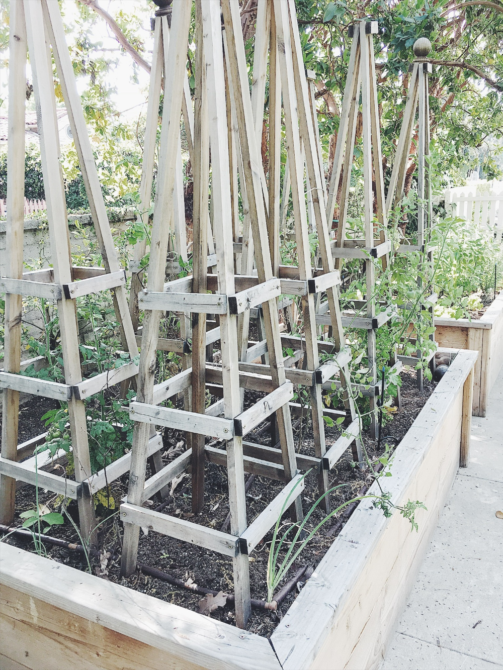 A Raised Garden Bed