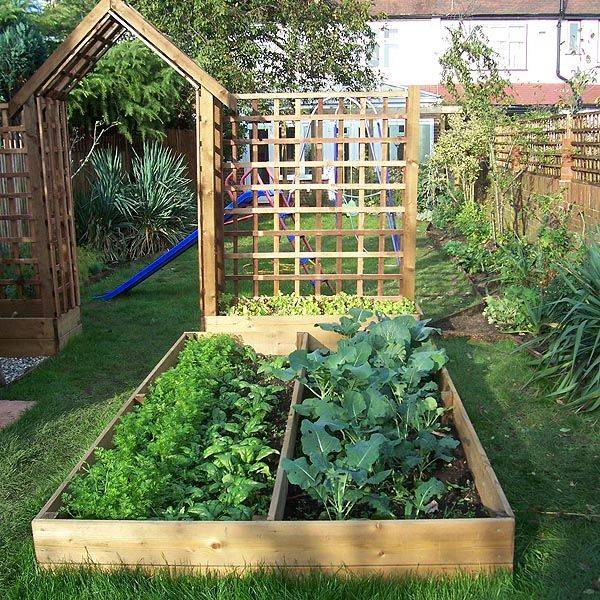 A Raised Garden Bed