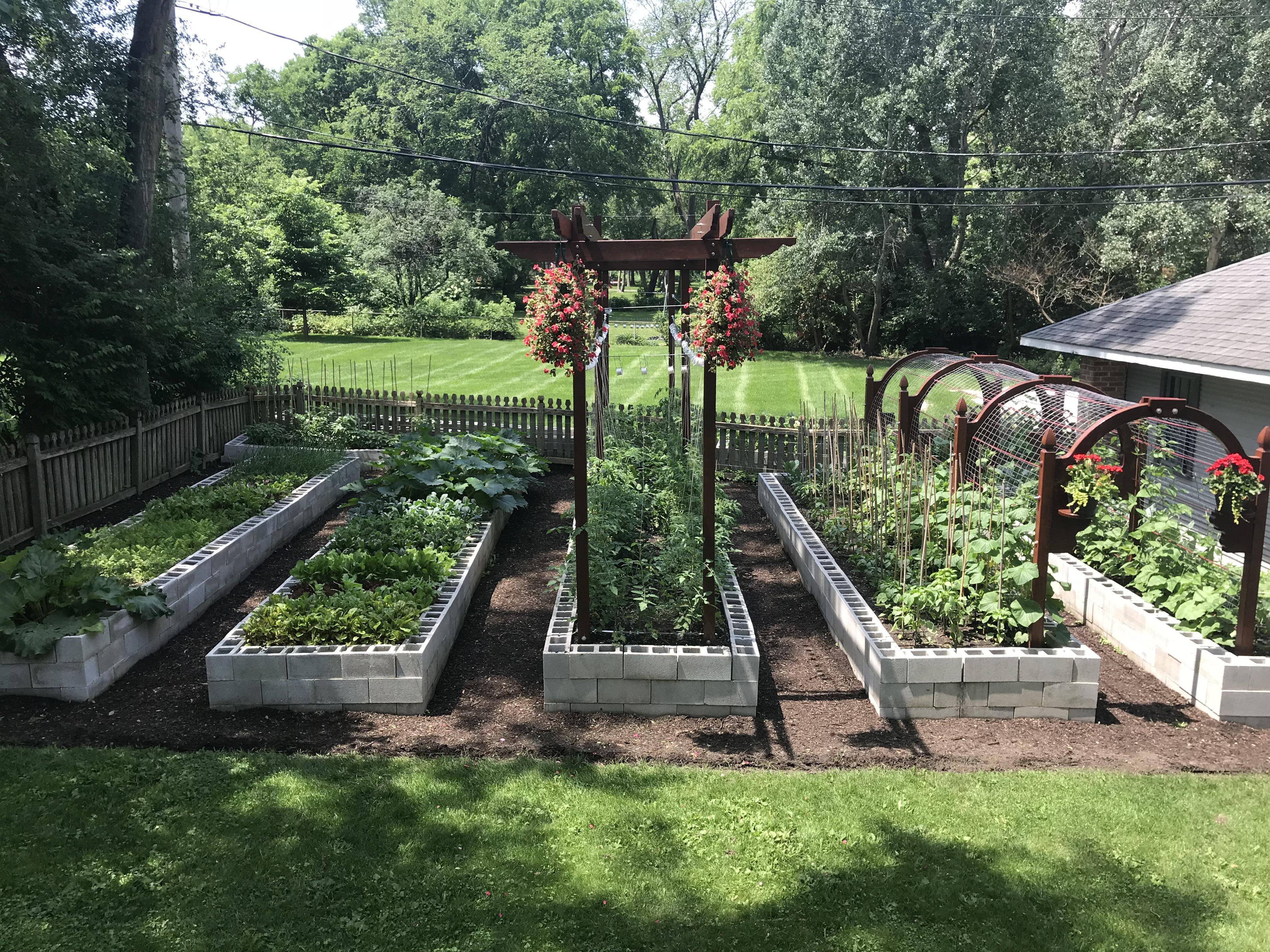 Raised Beds With Tomatoes And Marigolds Outdoor Garden Plants